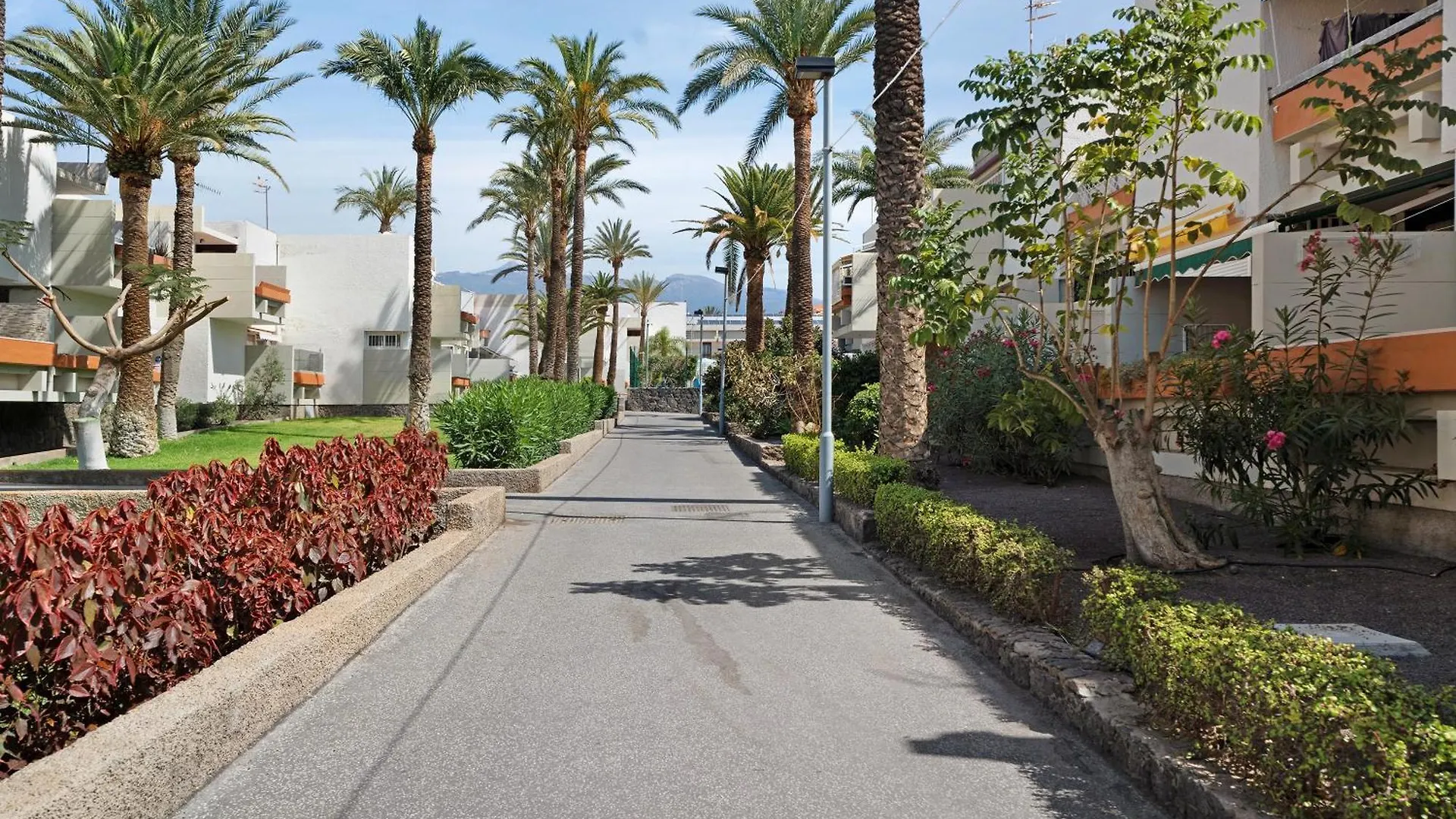 Apartmán Aaron Beautifull House Arona  Arona (Tenerife)